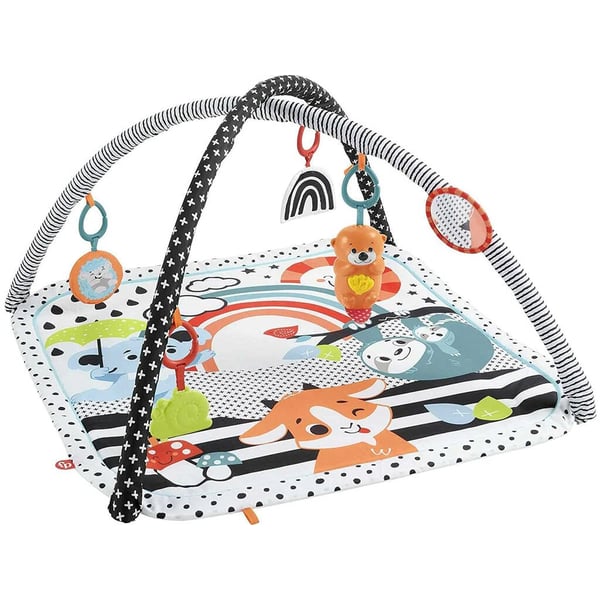 5000316-fisher-price-hbp41-0-gina-sio-musical-3-em-1.webp