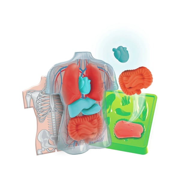67410-clementoni-kit-anatomia-squishy-2.webp