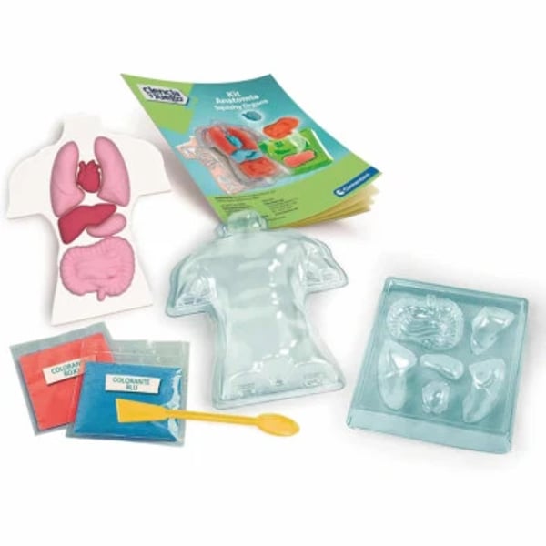 67410-clementoni-kit-anatomia-squishy-3.webp
