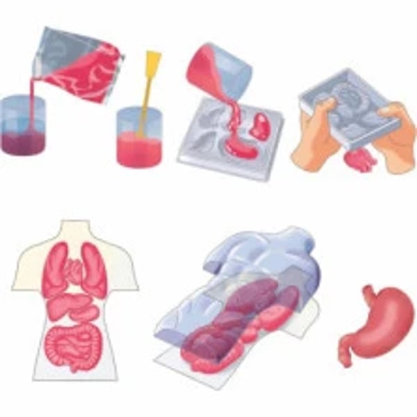 67410-clementoni-kit-anatomia-squishy-4.webp