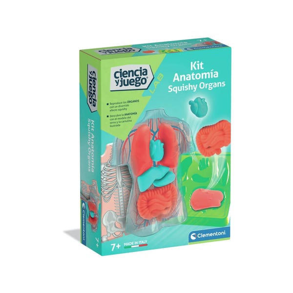 67410-clementoni-kit-anatomia-squishy.webp
