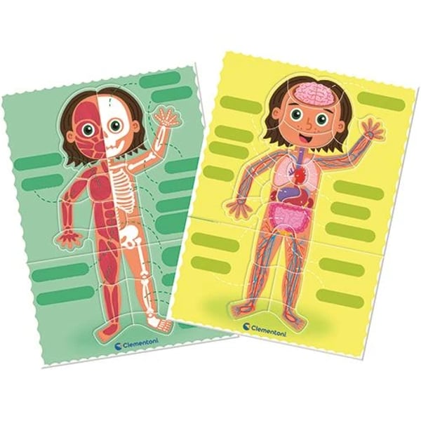 67450-clementoni-montessori-o-corpo-humano-3.webp