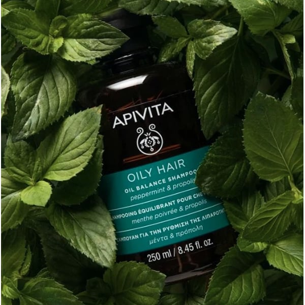 Apivita Champô Equilibrante Cabelo Oleoso 250ml